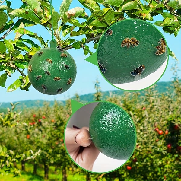 🍎🪰 Fruchtfliegenfalle Kugel