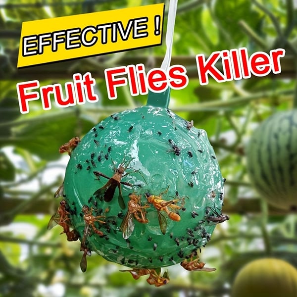 🍎🪰 Fruchtfliegenfalle Kugel