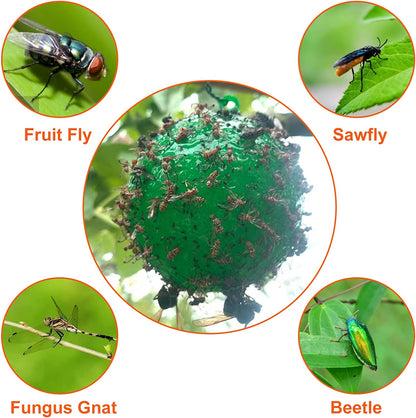 🍎🪰 Fruchtfliegenfalle Kugel