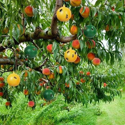 🍎🪰 Fruchtfliegenfalle Kugel