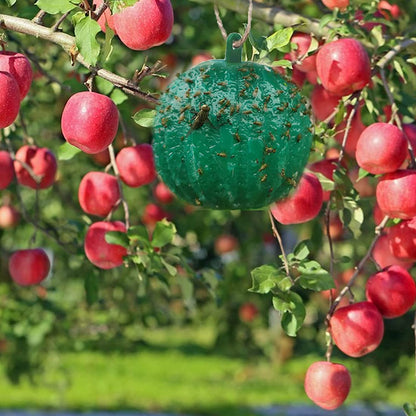 🍎🪰 Fruchtfliegenfalle Kugel